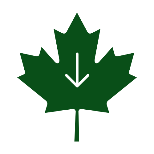 Parties en ligne Feuille d’&eacute;rable
